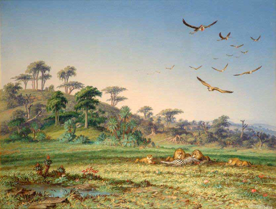 lion and dead quagga zululand